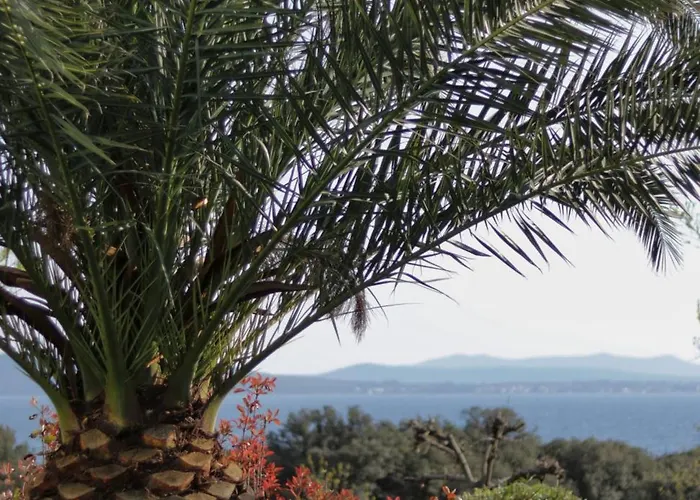 Διαμέρισμα Nikola Luxury Senia