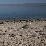 Nikola Luxury Senia Apartman *