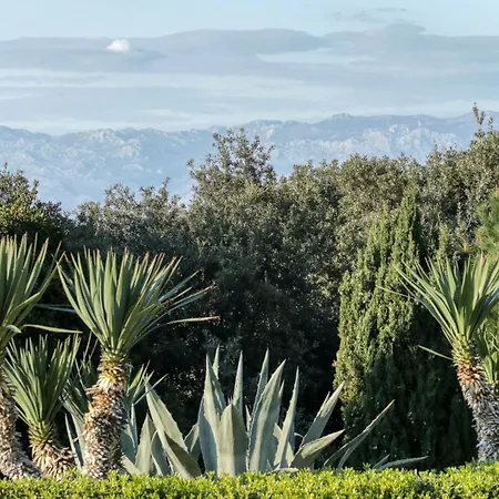 Nikola Luxury Senia Apartament