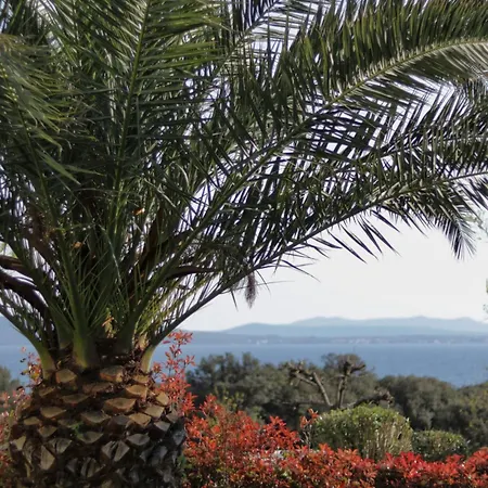 Apartment Nikola Luxury Senia