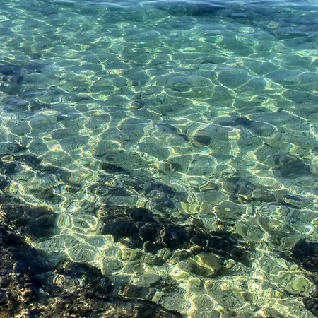 Apartament Nikola Luxury Senia